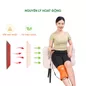 Iyashi Đai chườm thảo dược đầu gối - Ảnh thumb 5