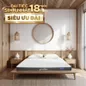 Nệm cao su đa tầng Goodnight Latex Hybrid (Rena) vững chắc, thông thoáng dày 10cm - Ảnh thumb 1