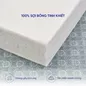 Nệm bông ép Wonjun Pure & Fresh dày 5/9cm gấp 3 - Ảnh thumb 12