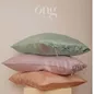 Vỏ gối tơ tằm Óng - Ảnh thumb 1