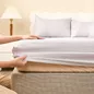 Bộ ga chun tencel cao cấp Goodnight Airsilk - Ảnh thumb 17
