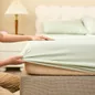 Bộ ga chun tencel cao cấp Goodnight Airsilk - Ảnh thumb 13