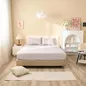 Bộ ga chun tencel cao cấp Goodnight Airsilk - Ảnh thumb 10