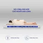 Nệm bông ép cao cấp Wonjun Pure Premium nâng đỡ vững chắc dày 12cm gấp 2 - Ảnh thumb 13