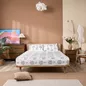 Bộ phủ Goodnight Basic 3CT - Ảnh thumb 4