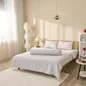 Bộ Ga chun Amando Celia 4 chi tiết - Ảnh thumb 14