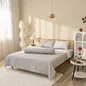 Bộ Ga chun Amando Celia 4 chi tiết - Ảnh thumb 10