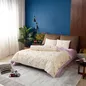 Bộ phủ Amando Comfort Cotton Select - Ảnh thumb 6