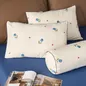 Vỏ gối Amando Comfort Cotton Select - Ảnh thumb 12