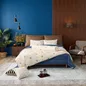 Vỏ Chăn chần Amando Comfort Cotton Select - Ảnh thumb 13