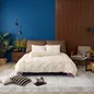 Vỏ Chăn chần Amando Comfort Cotton Select - Ảnh thumb 2