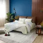 Vỏ Chăn chần Amando Comfort Cotton Select - Ảnh thumb 12