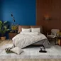 Vỏ Chăn chần Amando Comfort Cotton Select - Ảnh thumb 19