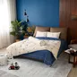 Vỏ Chăn chần Amando Comfort Cotton Select - Ảnh thumb 14