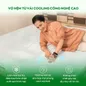 Nệm Gummi Signature – Công nghệ kép, nâng đỡ vượt trội, kháng khuẩn tối đa - Ảnh thumb 2