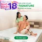 Nệm Gummi Signature – Công nghệ kép, nâng đỡ vượt trội, kháng khuẩn tối đa - Ảnh thumb 1