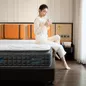 [Mới - Độc quyền] Nệm lò xo song song công nghệ cách ly chuyển động Dunlopillo de.Stress Energy - Ảnh thumb 19