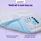 Bộ tấm trải trẻ em đi học Deepsleep Thỏ TC002 - Ảnh thumb 4