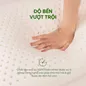 Gối cao su thiên nhiên Gummi Ovalux - Ảnh thumb 4