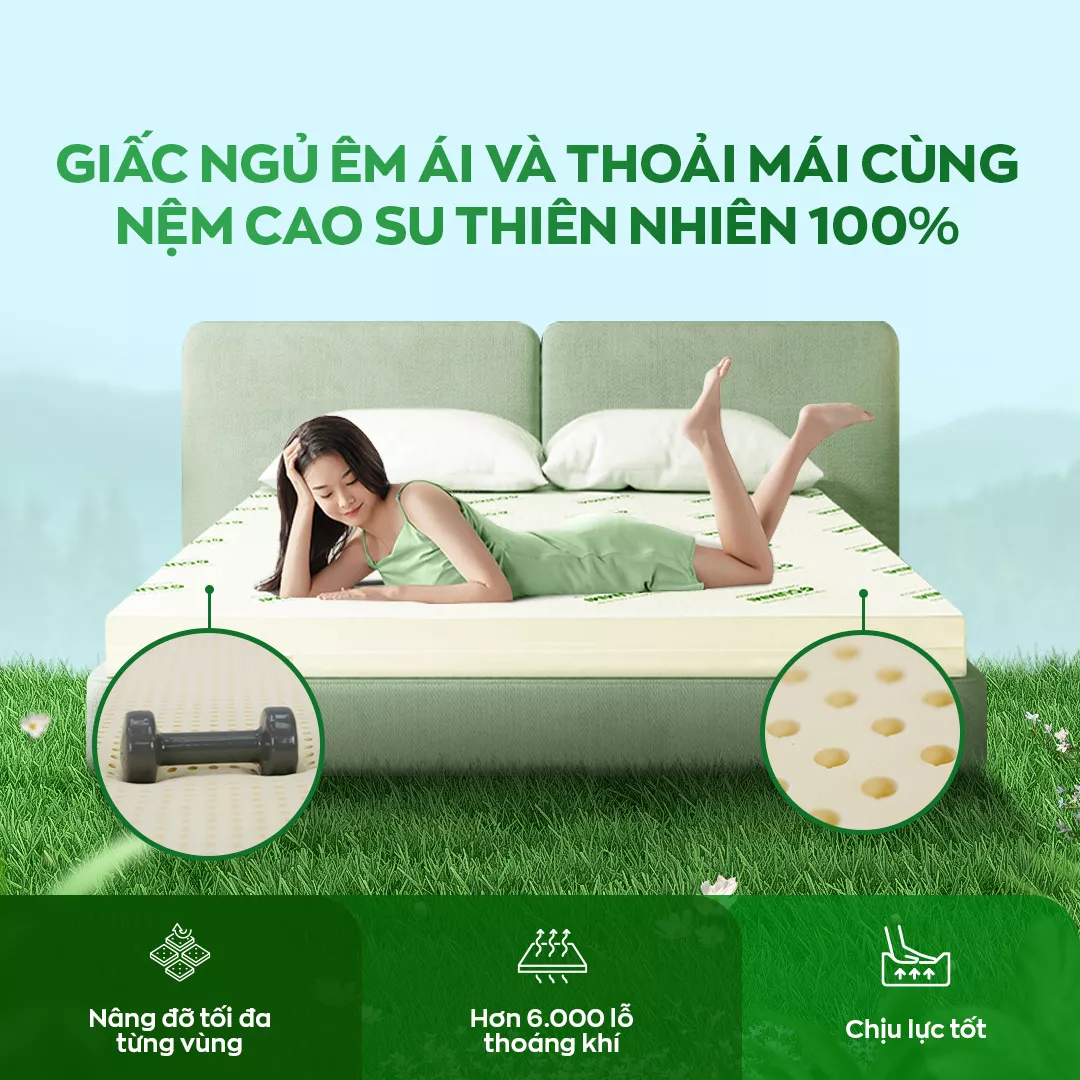 Nệm cao su thiên nhiên Gummi Classic