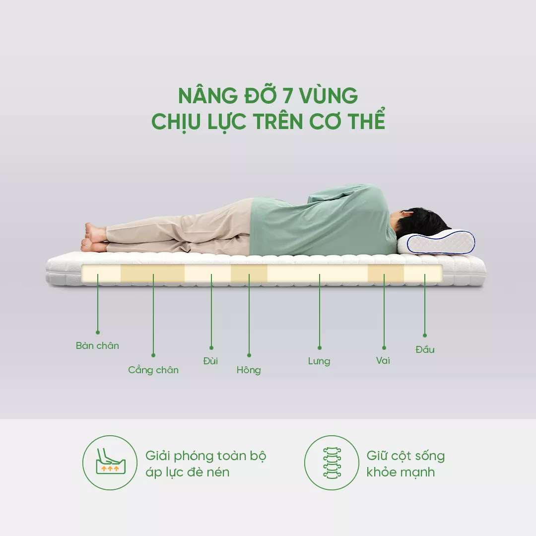 Gummi 7zones 160 x 200 nâng đỡ 7 vùng cơ thể
