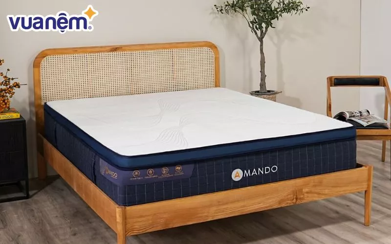 Nệm lò xo Amando Innovation 1m2