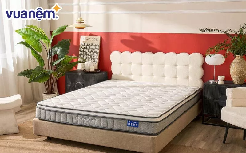 Nệm lò xo cách ly chuyển động Goodnight Sleep Wave