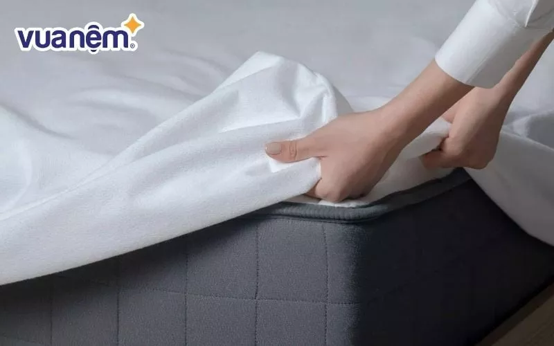 Các bước làm sạch đệm cao su 1m4 x 2m