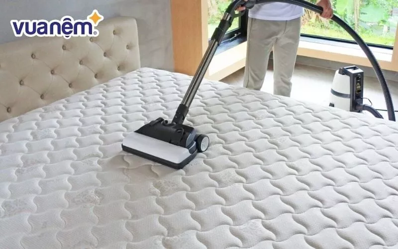 Hướng dẫn bảo quản nệm cao su 1m4 x 2m