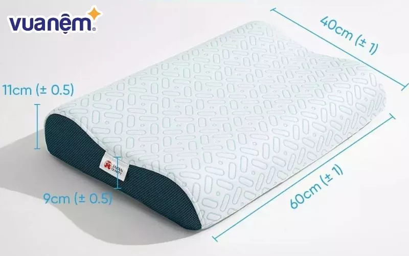 Dùng gối công thái học loại nào tốt? - Gối Aeroflow iCool