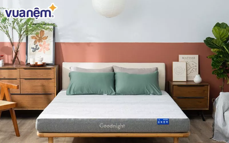 Nệm Goodnight Hachi giảm áp lực dày 15cm, chất liệu foam 