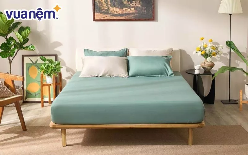 Mẫu ga chun micro satin Amando Cozy