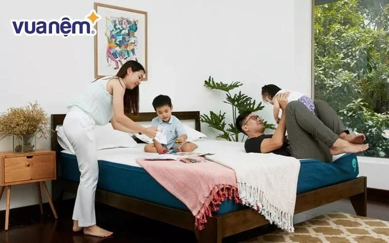 Giá nệm cao su 1m2 x 2m đa dạng