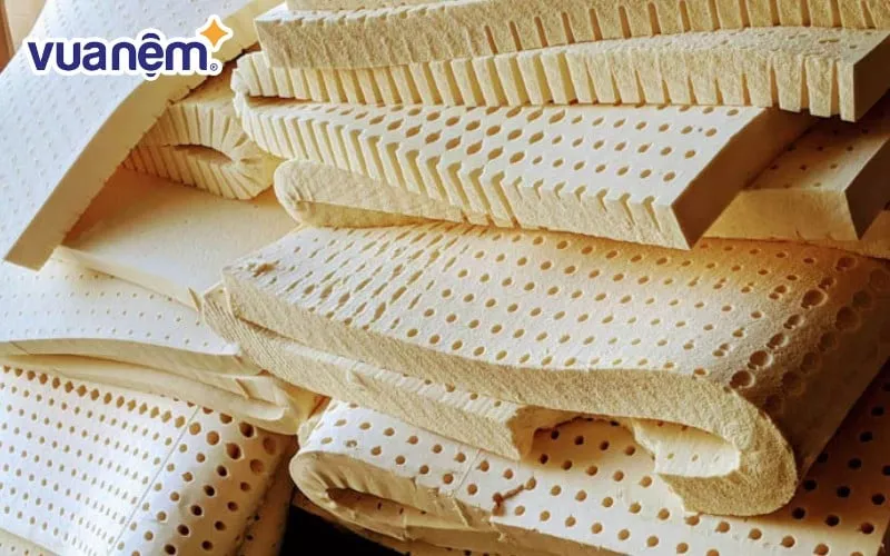Vì sao nên lựa chọn đệm cao su 1m8 x 2m