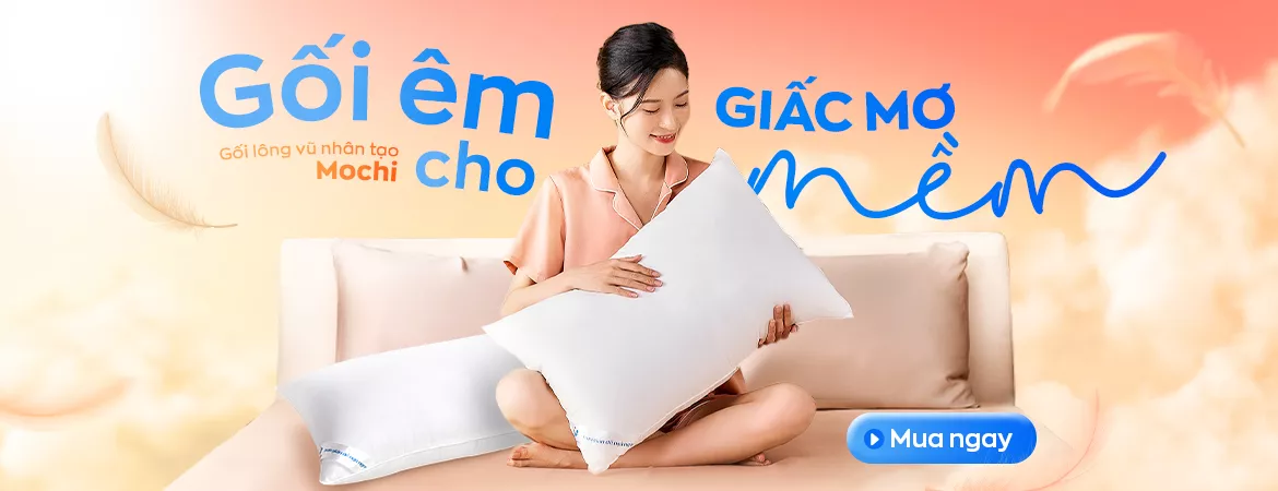 FLASH SALE Gối