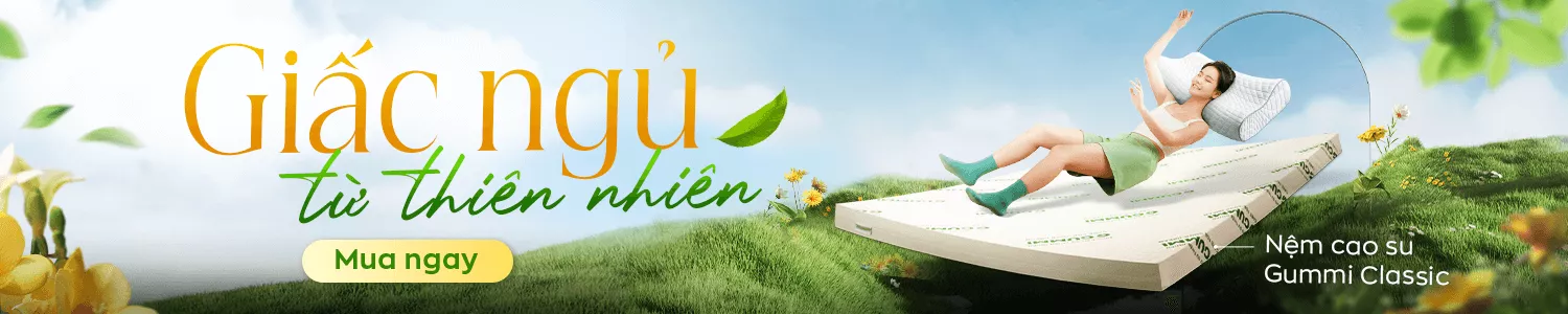Banner Cao Su
