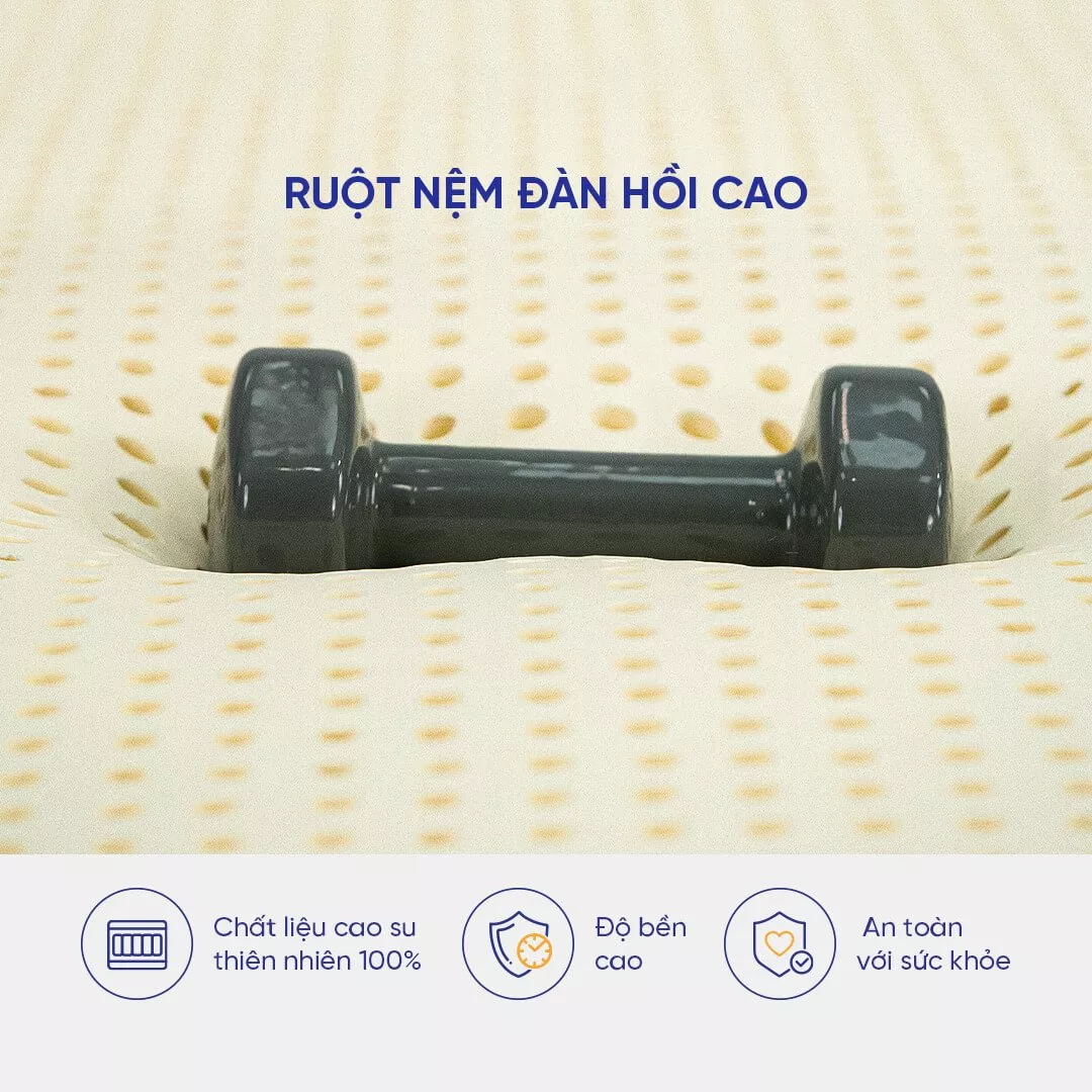 Nệm cao su Kim Cương Happy Gold dày 5/10/15cm - Ảnh 6