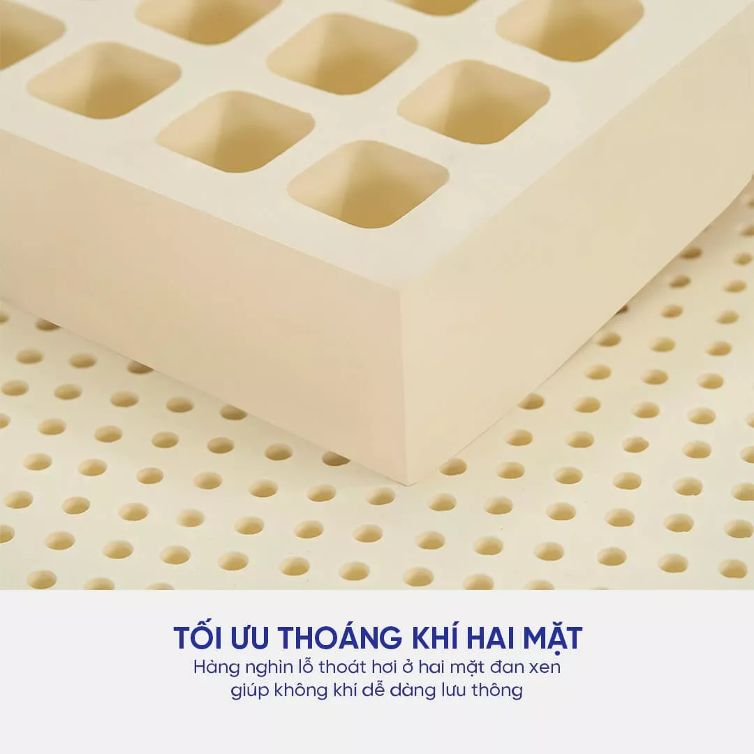 Nệm cao su Kim Cương Happy Gold dày 5/10/15cm - Ảnh 7