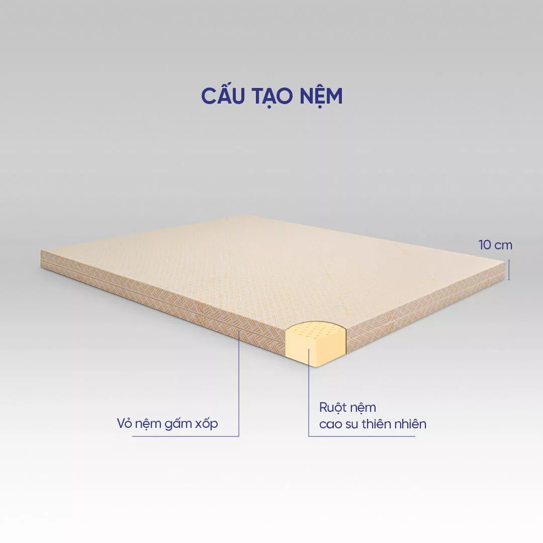 Nệm cao su Kim Cương Happy Gold dày 5/10/15cm - Ảnh 3