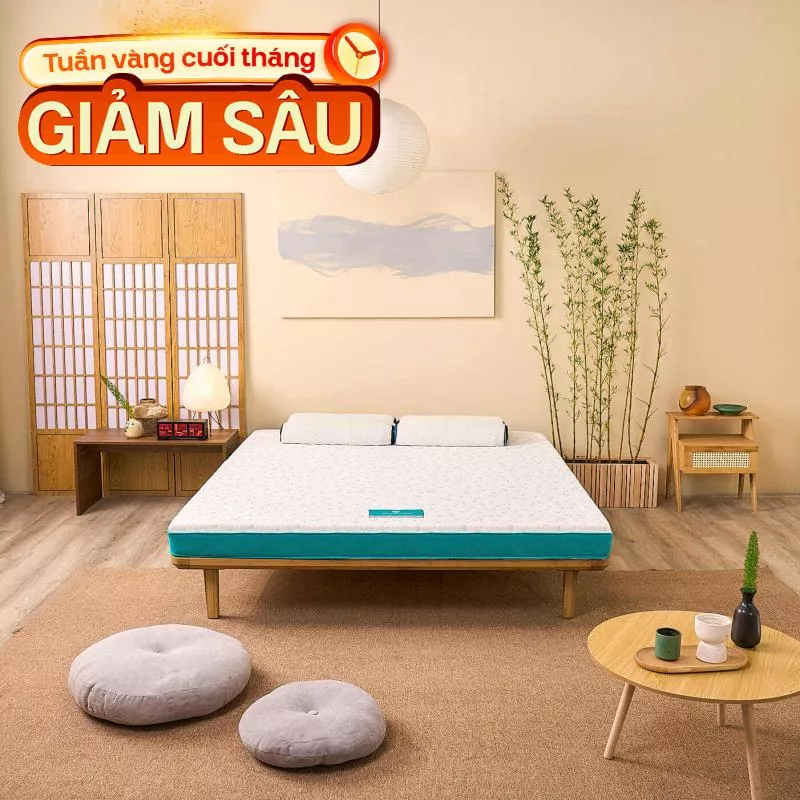 Nệm Nhật Bản Aeroflow Standard nâng đỡ cơ thể dày 12cm - Ảnh 2