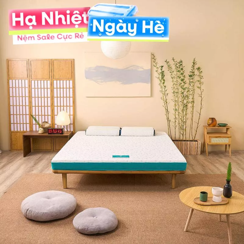 Nệm foam Nhật Bản Aeroflow Standard nâng đỡ cơ thể dày 12cm - Ảnh 2