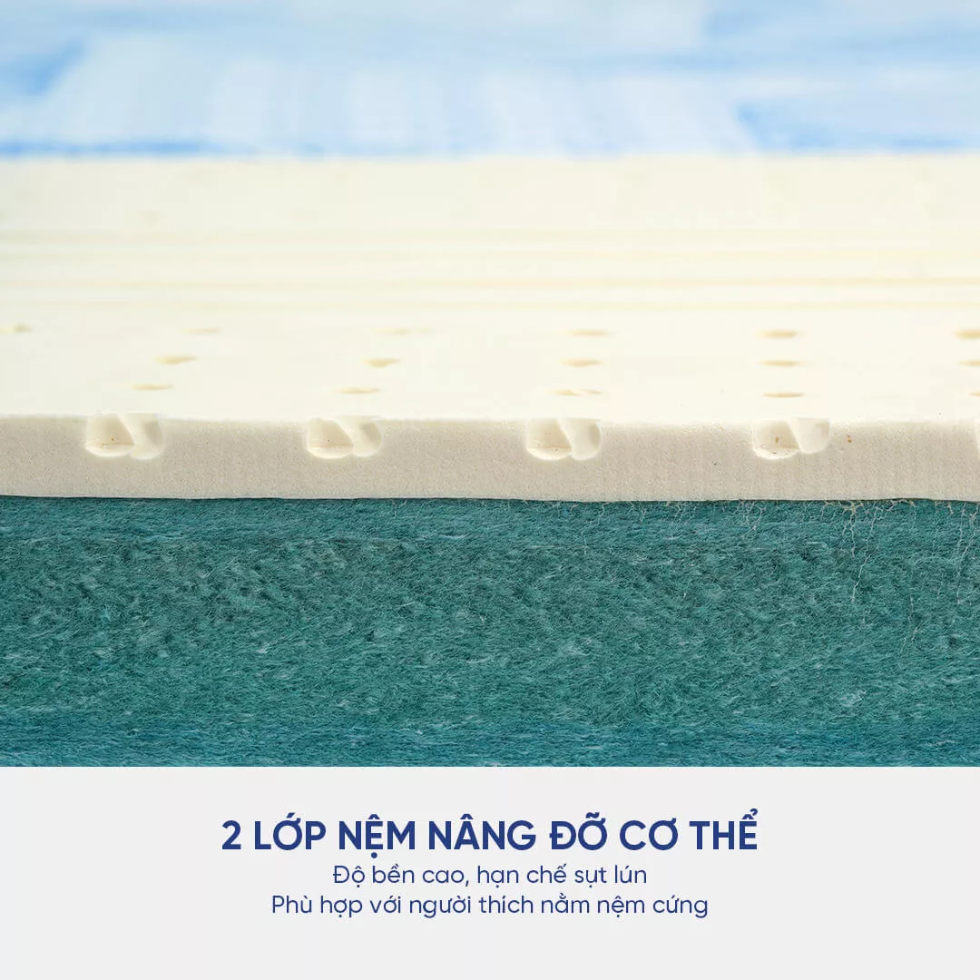 Nệm cao su đa tầng Kim Cương Titanium gấp 3 dày 5/9cm - Ảnh 6