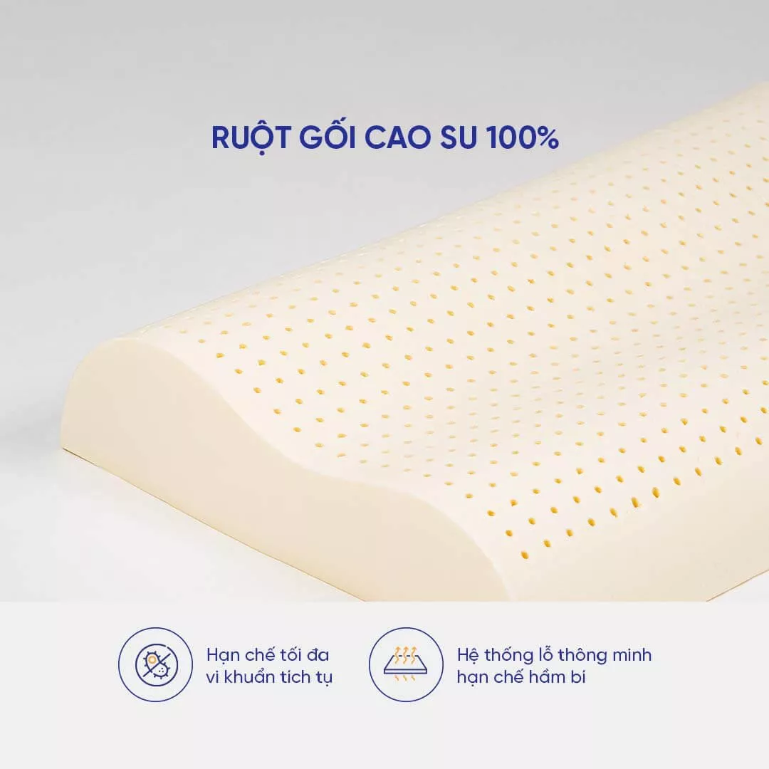Gối Cao Su Liên Á Contour - Ảnh 5