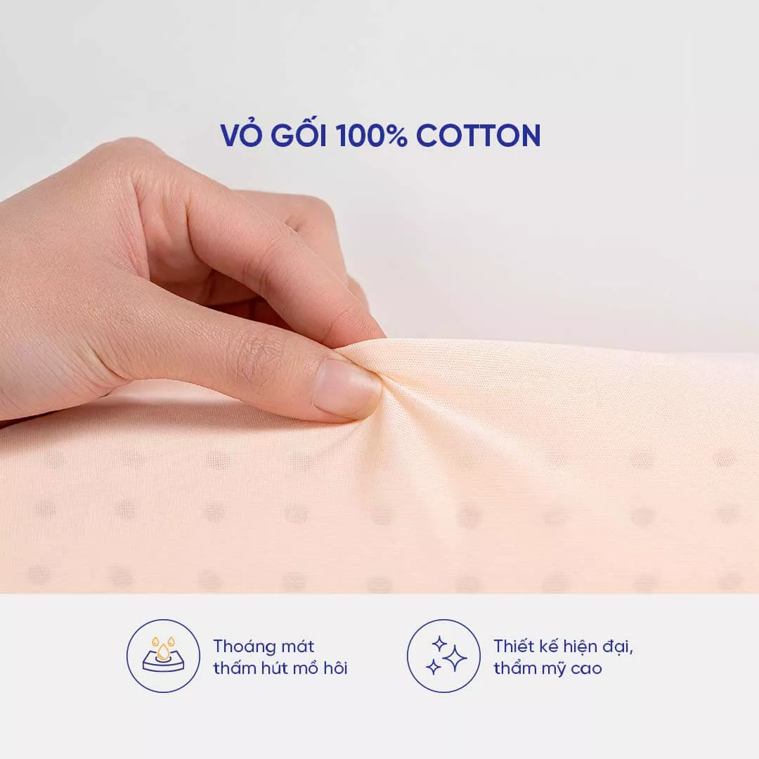 Gối Cao Su Liên Á Contour - Ảnh 4