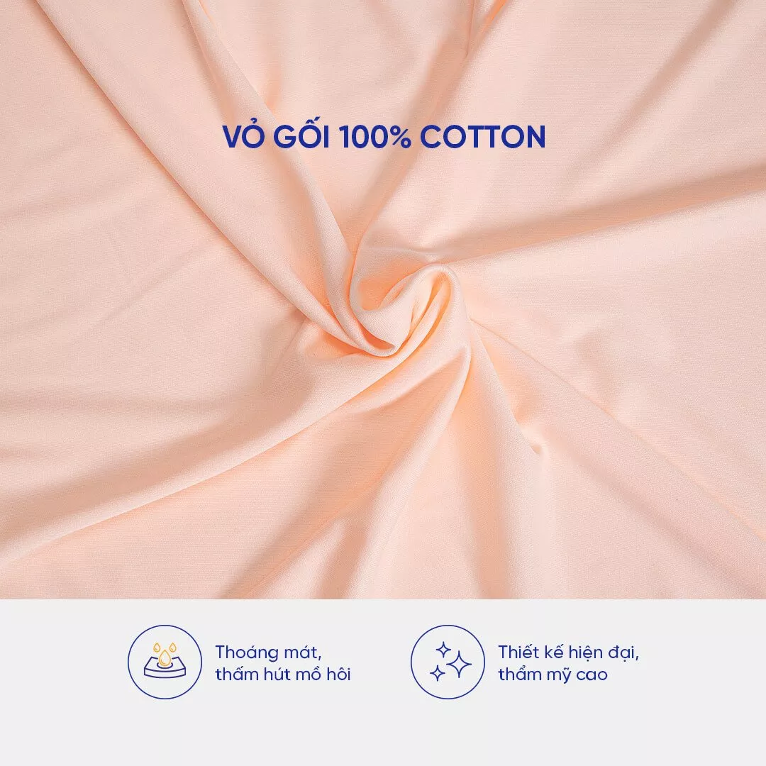Gối Cao Su Liên Á Oval đàn hồi cao - Ảnh 4