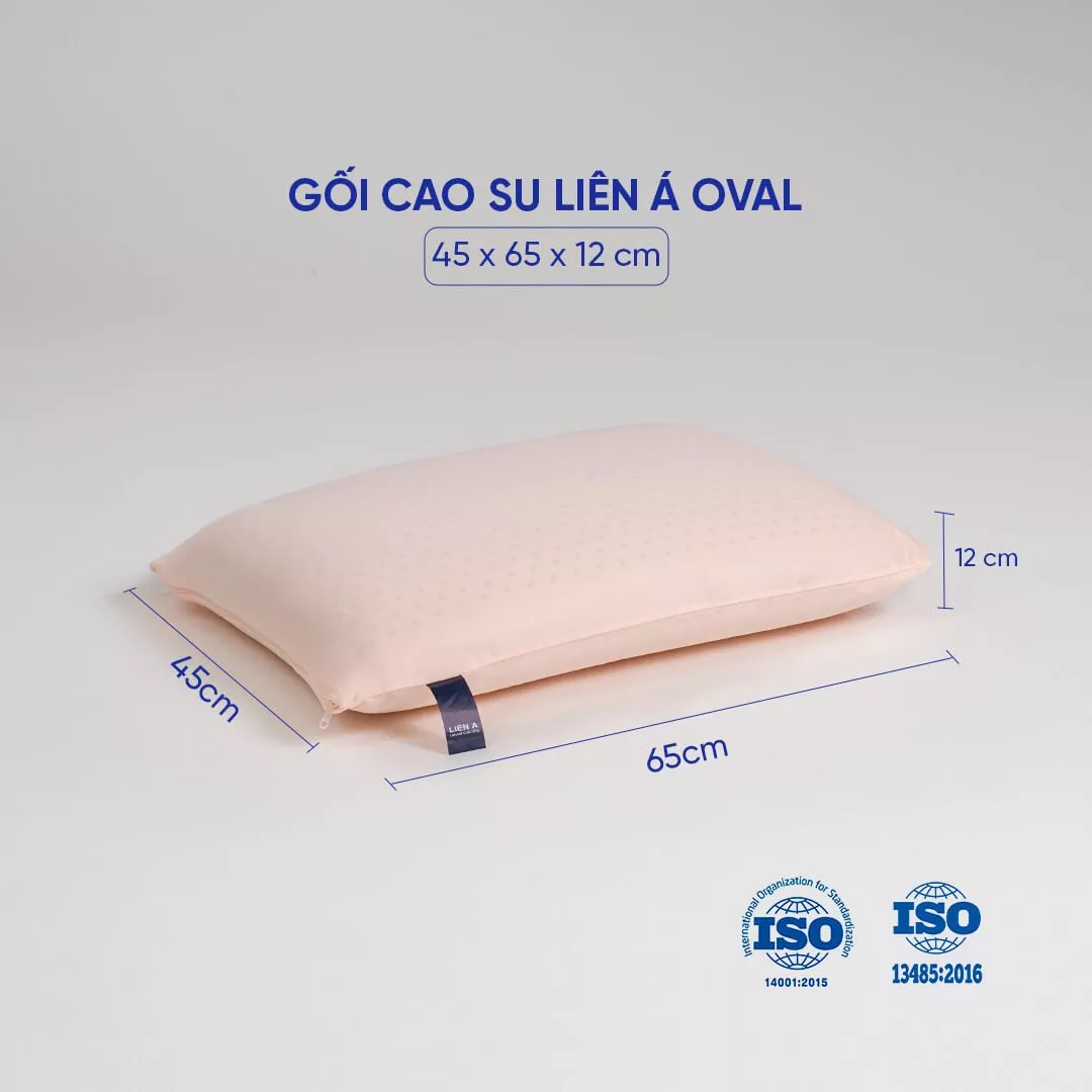 Gối Cao Su Liên Á Oval đàn hồi cao - Ảnh 2