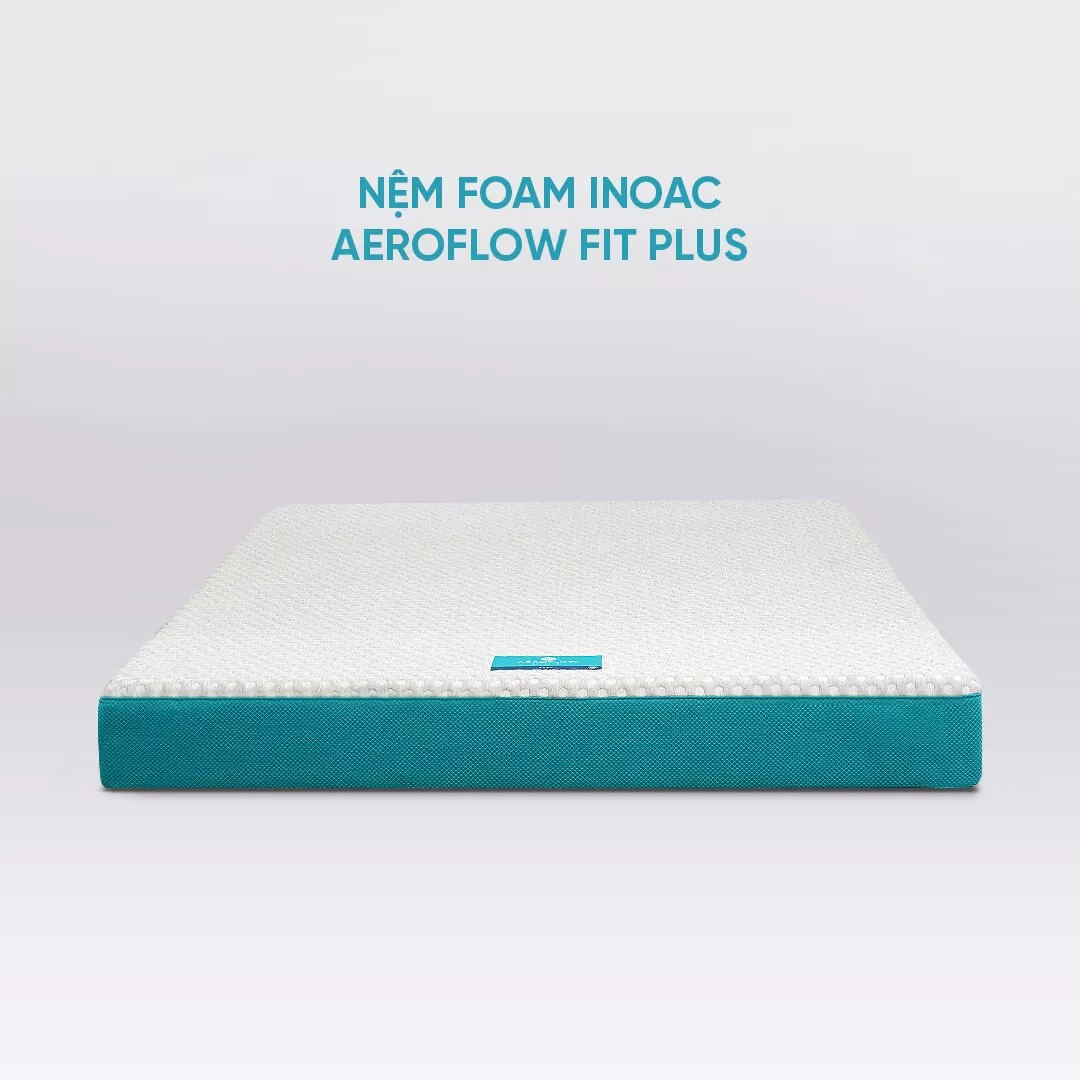 Nệm foam Nhật Bản Aeroflow Fit Plus kháng khuẩn dày 20cm - Ảnh 11