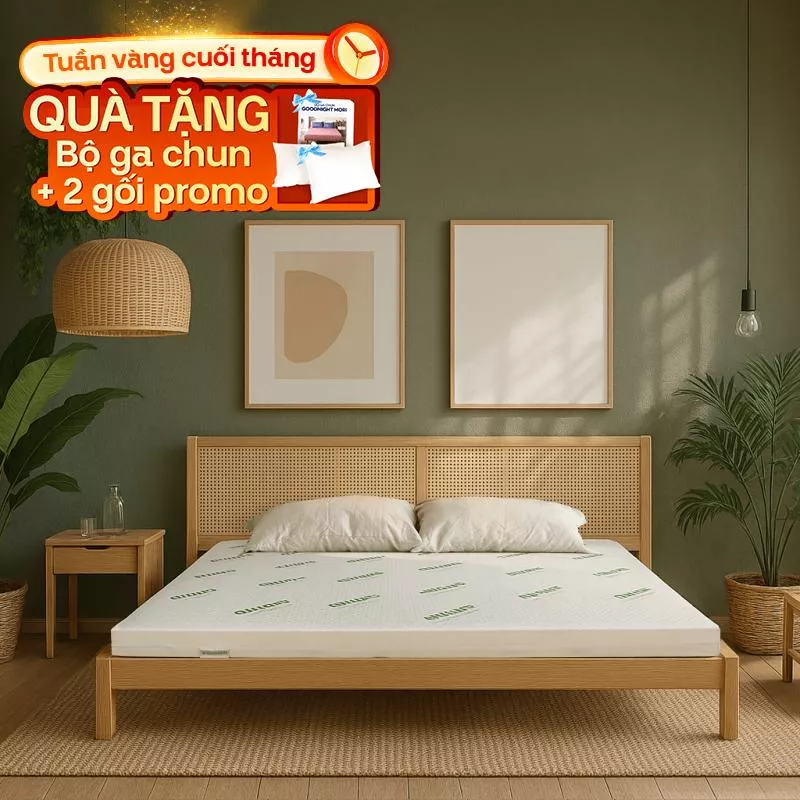 Nệm cao su thiên nhiên Gummi Classic thế hệ mới dày 5/10/15cm - Ảnh 2