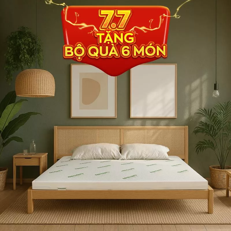 Nệm cao su thiên nhiên Gummi Classic thế hệ mới dày 5/10/15cm - Ảnh 2