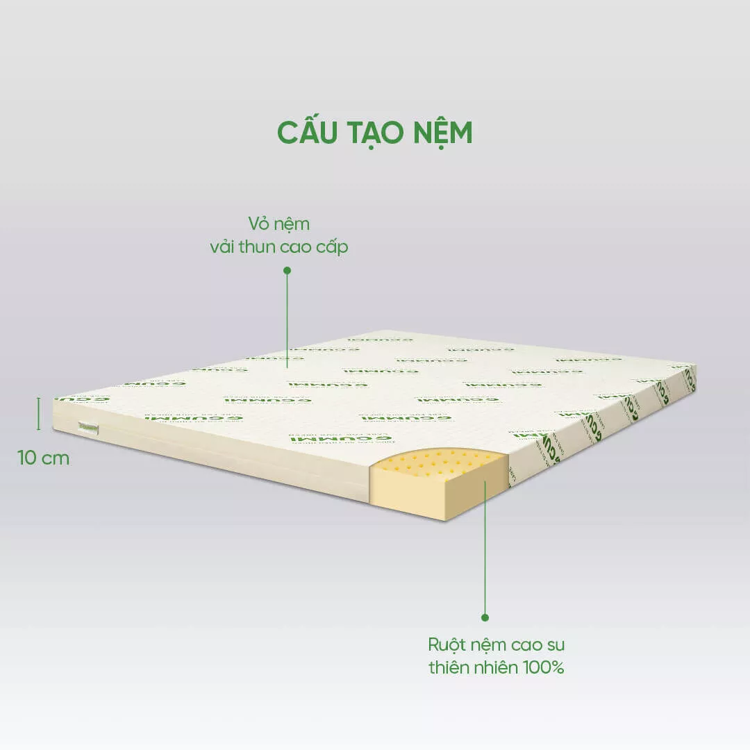 Nệm cao su thiên nhiên Gummi Classic thế hệ mới dày 5/10/15cm - Ảnh 3